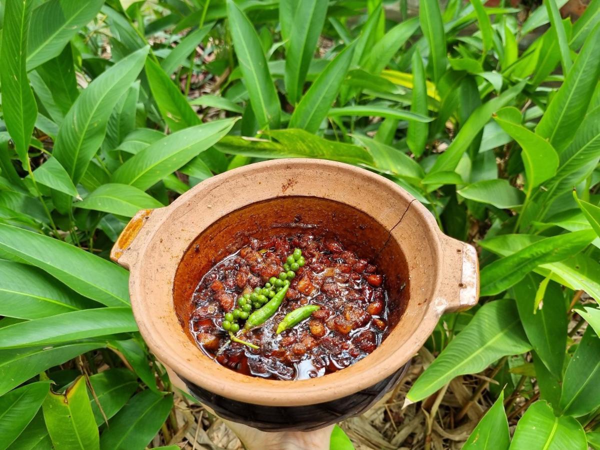 Ba Danh Homestay & Kitchen - Ben Tre Mekong Εξωτερικό φωτογραφία