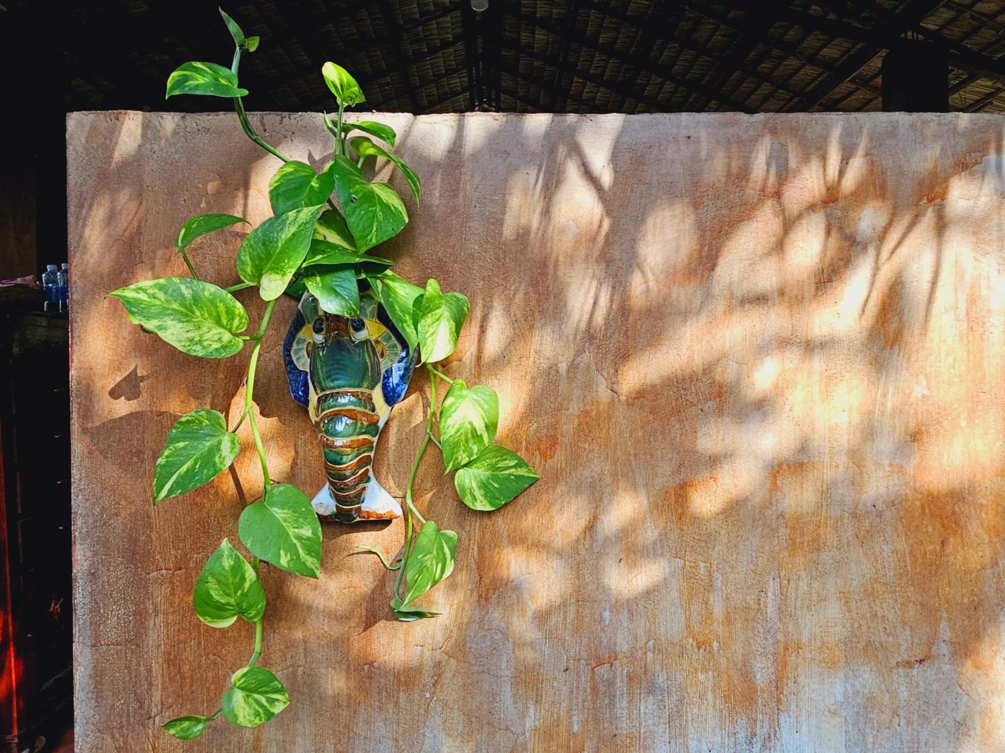 Ba Danh Homestay & Kitchen - Ben Tre Mekong Εξωτερικό φωτογραφία