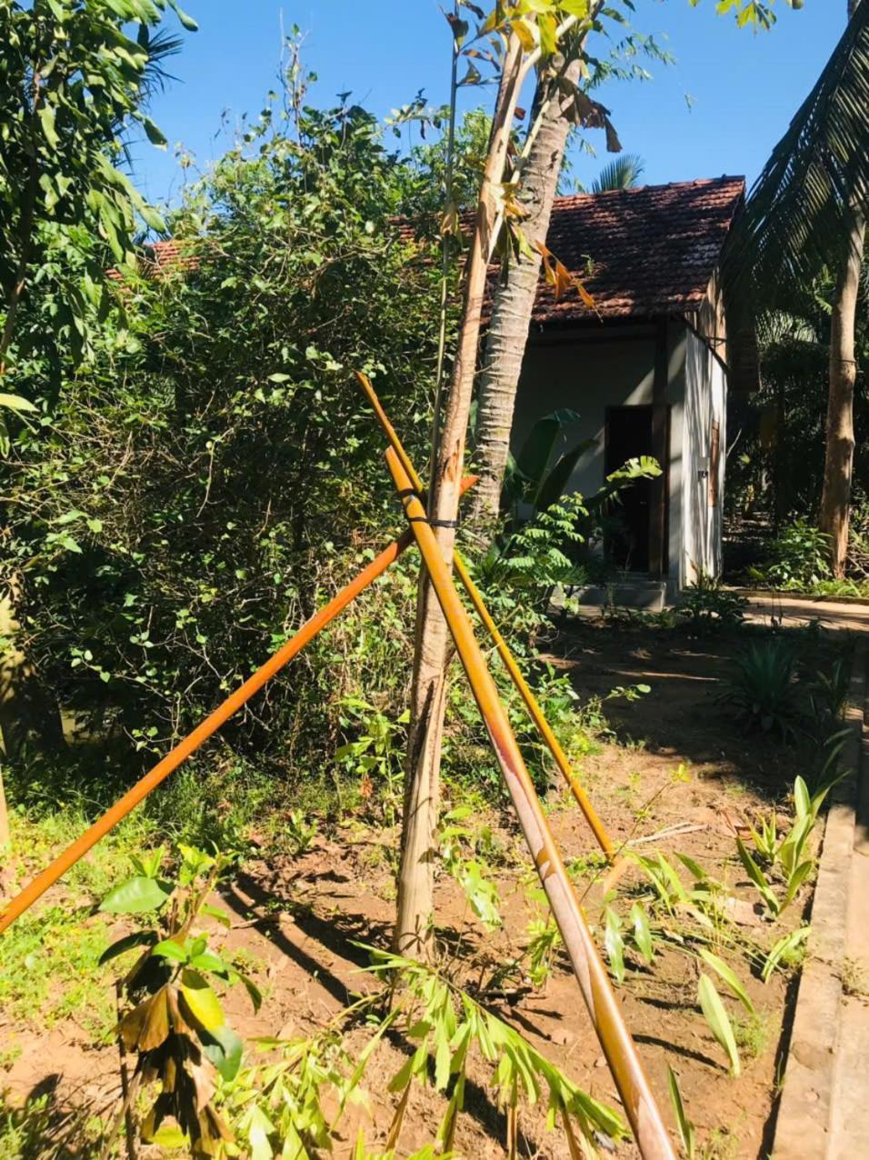Ba Danh Homestay & Kitchen - Ben Tre Mekong Εξωτερικό φωτογραφία