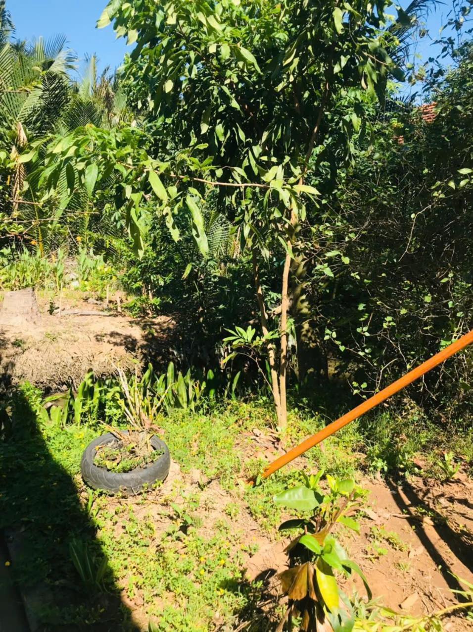 Ba Danh Homestay & Kitchen - Ben Tre Mekong Εξωτερικό φωτογραφία